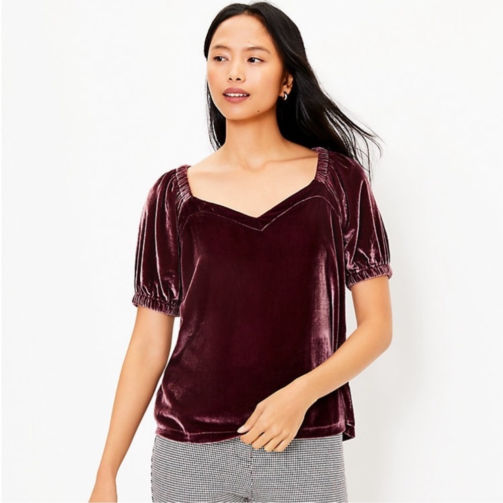 LOFT Crushed Velvet Mauve V-neck Blouse